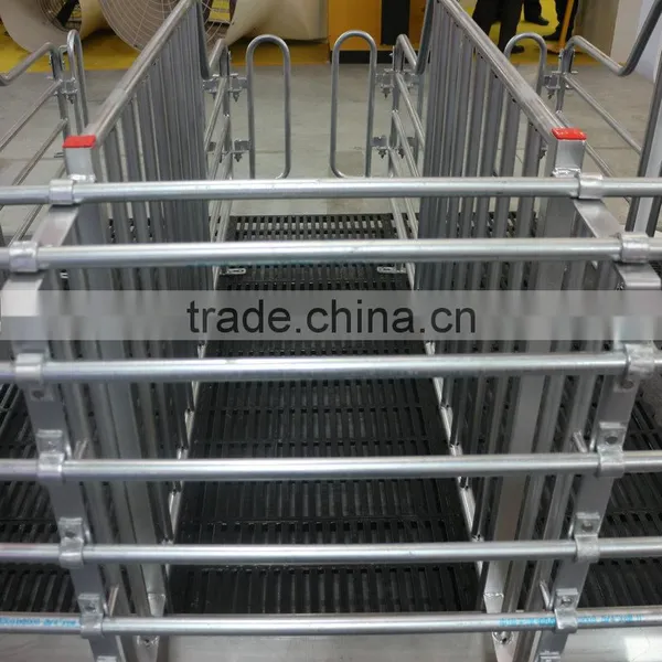 Top Sales Gestation Pen Sow Gestation Crates