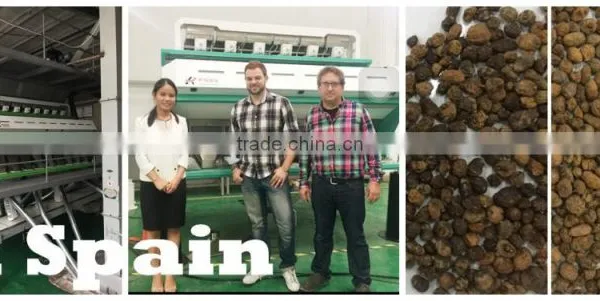 Automatic Best Quality Coffee Bean Color Sorting Machine photo-4