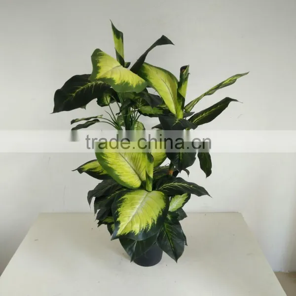 Fake Decorative Dieffenbachia Rohdea Artificial Evergreen Wholesale photo-4