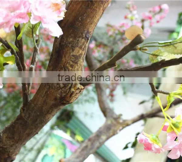 Cherry Flower Tree Man Made Sakura Plant Tree photo-2