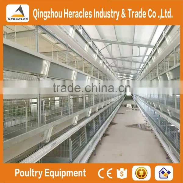 Best Selling Poultry Farming Layer Chicken Cage-H Type 4 or 5 Layers for Egg Chicken photo-3