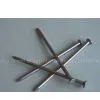 Common Nail, Roofing Nail,wire Nail,steel Nail