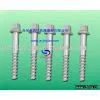 DHS 35 Screw Spike