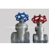 Gate Valve Z11W