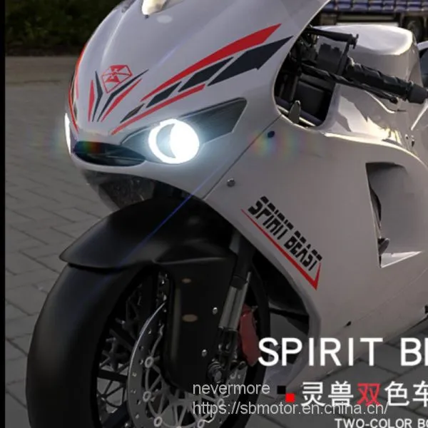 Spirit Beast Motorcycle Modified Body Reflective Waterproof Sticker 150NK L1 photo-2