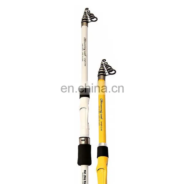 2020 New Factory Price Fishing Rod and Spinning Reel Combo Saltwater Fishing Rod photo-5