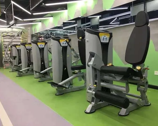 Health Life Commercial Gym Equipment/Indoor Fitness Equipment/gym Facilities Rotary Torso photo-5