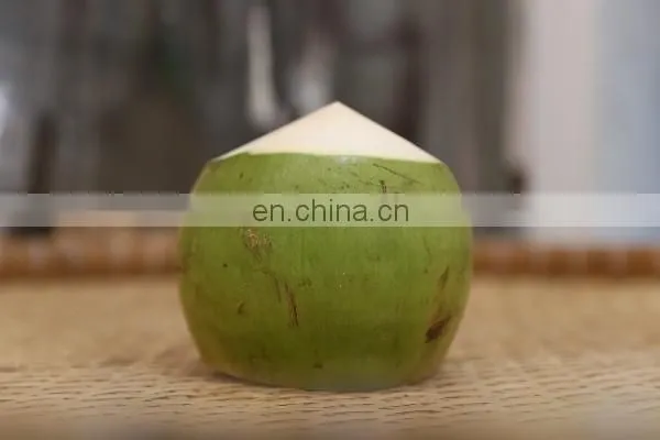 Coconut Vietnam High Quality Competitive Price photo-4