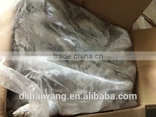 Size 80 - 100 Pcs / 10kg Ctn Frozen Small Eyes Horse Mackerel Whole Round in Good Quality