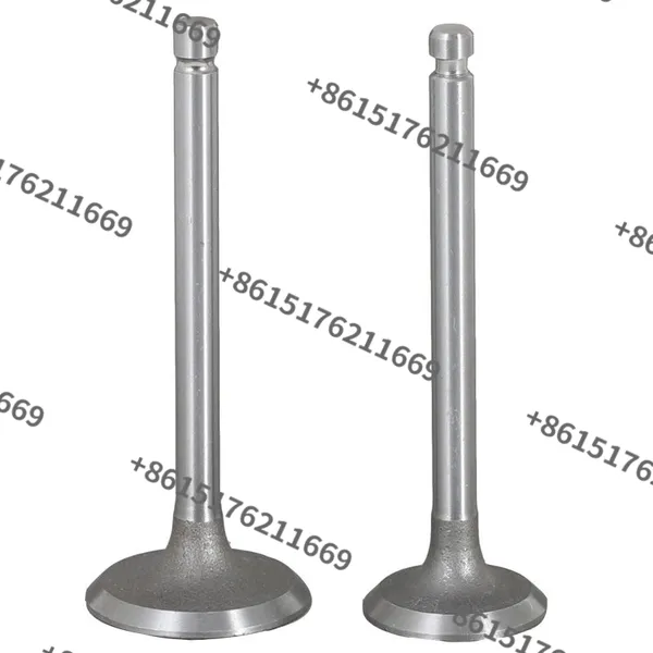 China Factory Supply S195, S1100, S1105, S1110, S1115, S1125 Diesel Engine Valve Kit photo-5