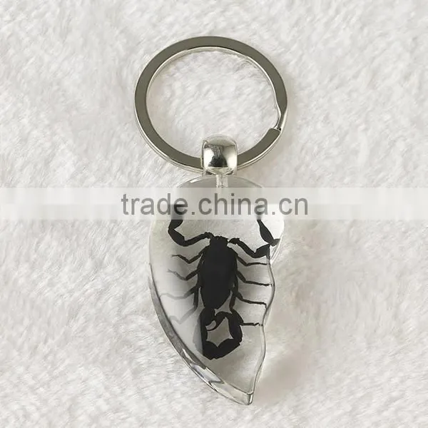 Promotional Real Black Scorpion Amber Wholesale Crystal Key Chain photo-2