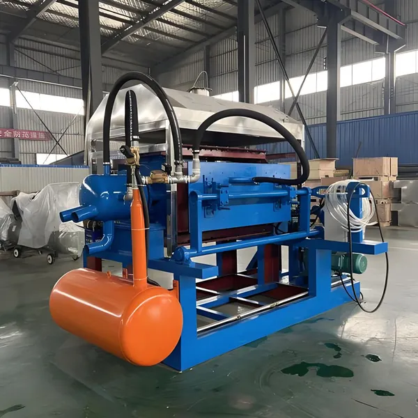 Industry Tray Machine Pulp Molding Line Egg Packing Tray Machine Production Line