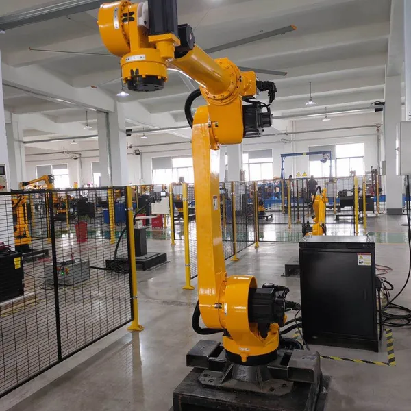 High Quality Automatic Case Carton Palletizer Robot for Wide Use photo-5