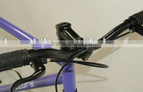 2016 700C Cheap Fixed Gear Bike photo-3