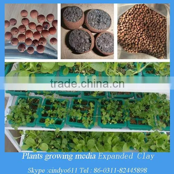 Agriculture Plants Soil Lightweight Expanded Clay Aggregate photo-2