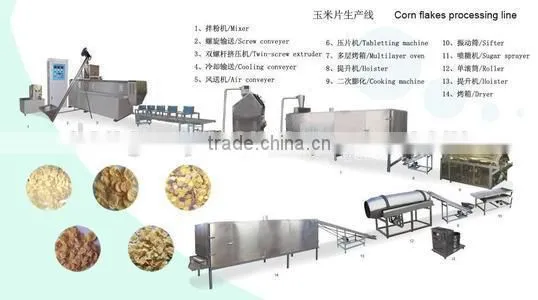 Made in China New Situation Automatic Corn Flakes Breakfast Cereal Production Line photo-5