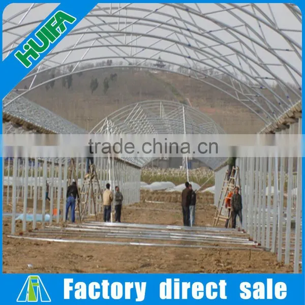 8m Width Multi-span Plastic Film Tunnel Vegetable Greenhouses for Sale photo-2
