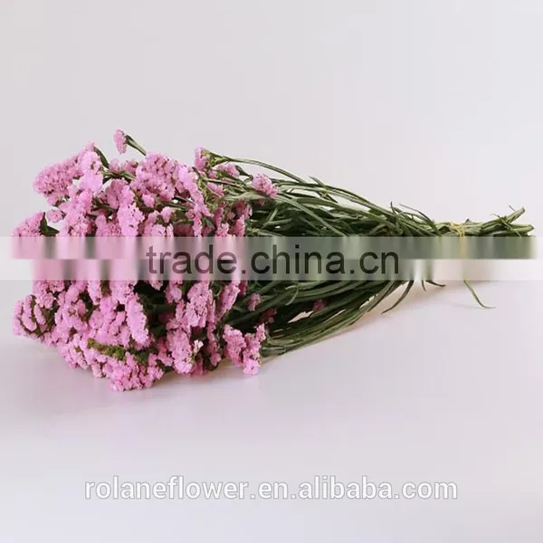 Regular Supply Best Quality Fresh Cut Green Statice Flower From China photo-2