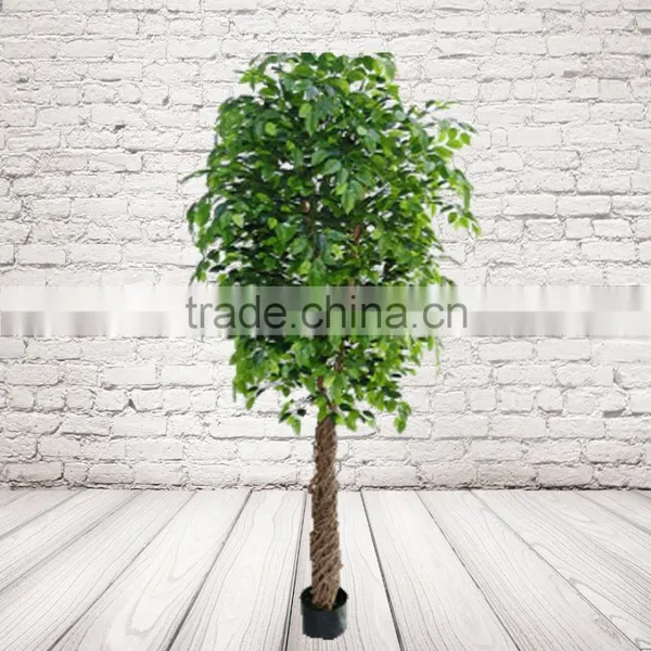 Artificial Ficus Tree For Commercial Decoration , Artificial Trees