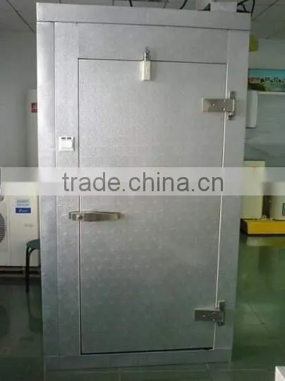 Cold Room Polyurethane Hinged Door With Painted Galvanized Steel photo-3