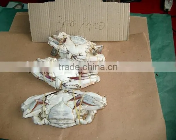 Frozen Blue Swimming Crab for Sale photo-5