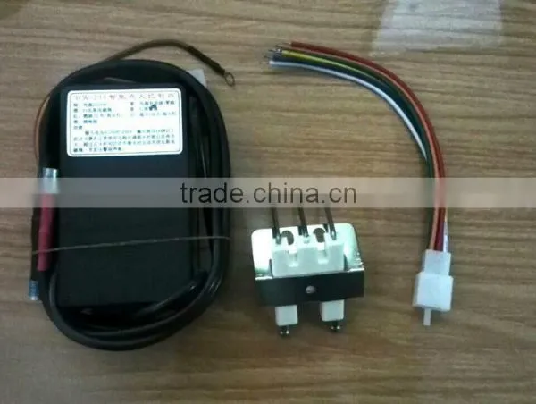 Factory Direct Sale Black Module 220VAC Gas Electrode Spark Plug Ceramic Igniter Spark Igniter photo-2