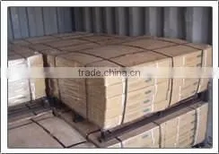 Soft Annealed Wire and G.i Binding Wire From Factory China photo-6