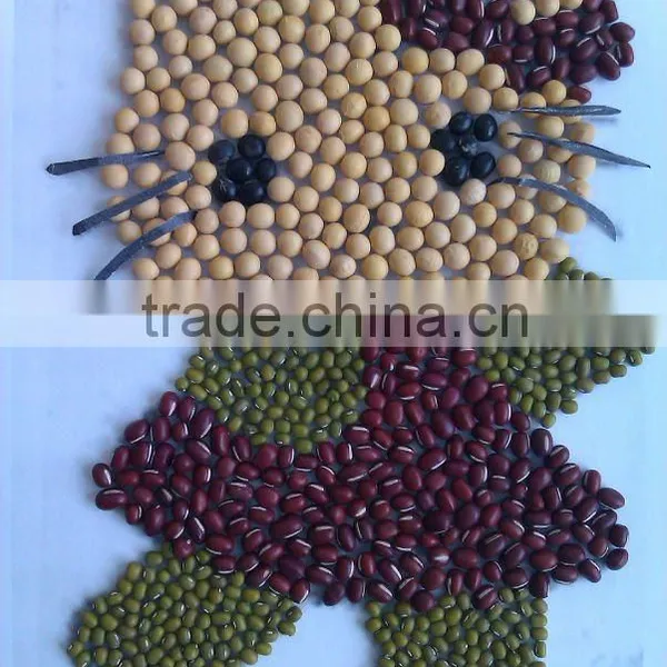 Non Gmo Soybean/soya Bean( New Crop)