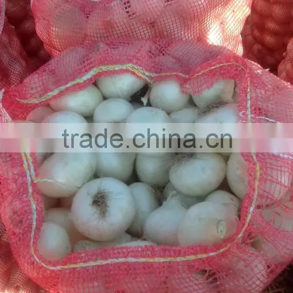 White Onion in Mesh Bags