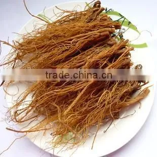 Red Ginseng Dry Root Changbai Korea Ginseng Price photo-2