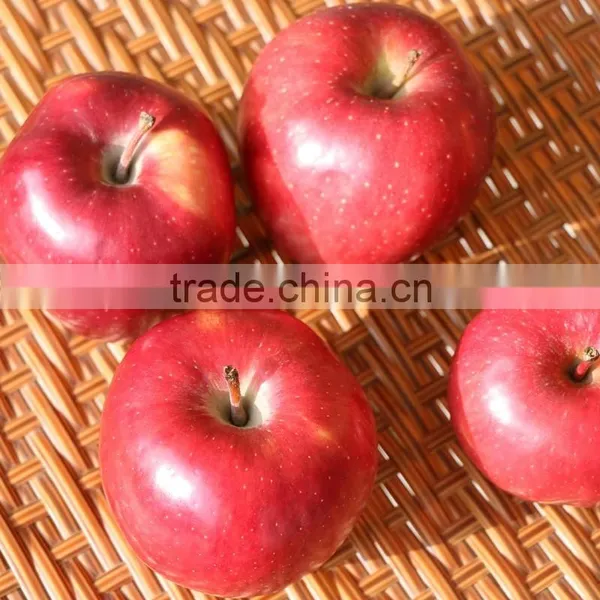 2016 New Crop Fresh Apple China Gansu Tianshui Huaniu Apple photo-2