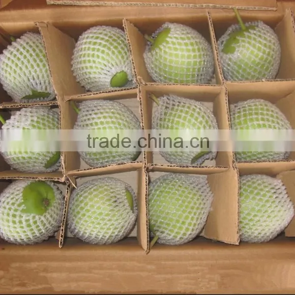 Fresh Early Su Pear Sweet Pear Exporter in China photo-4