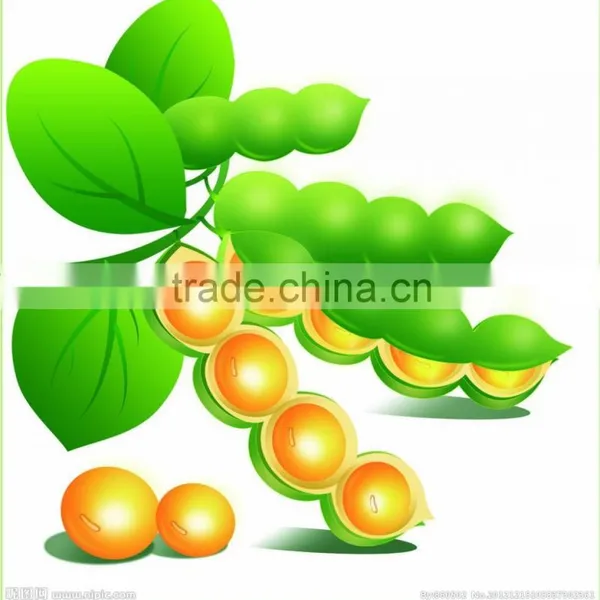 GMP Natural High Quality Phosphatidylserine(PS) From Soybean Extract photo-2