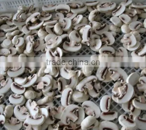 Frozen Delicate Champignon Mushroom/white Button Mushroom photo-3