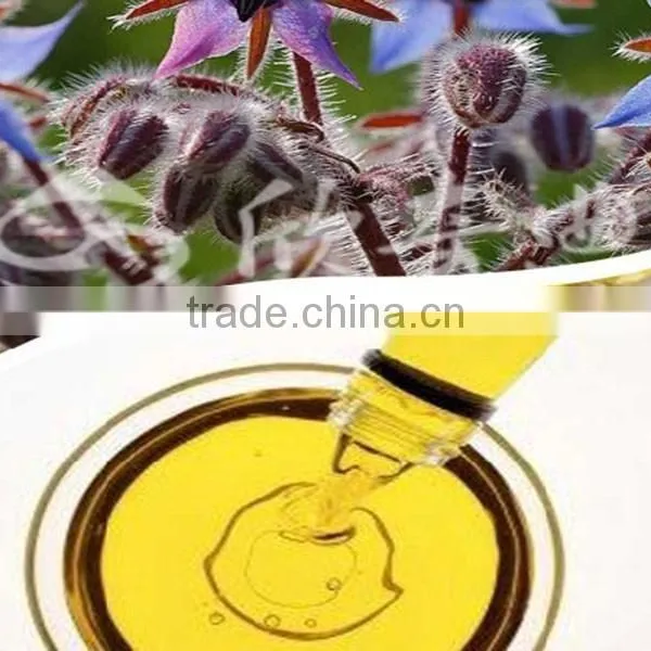 Organic Borage Oil(Omega 3&6 Series) From China,hot Selling Goods Fro Wholesale photo-4