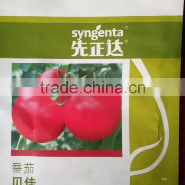 Syngenta Tomato Seed Red Tomato Seed Anti-TY Tomato Hybrid Tomato Seed