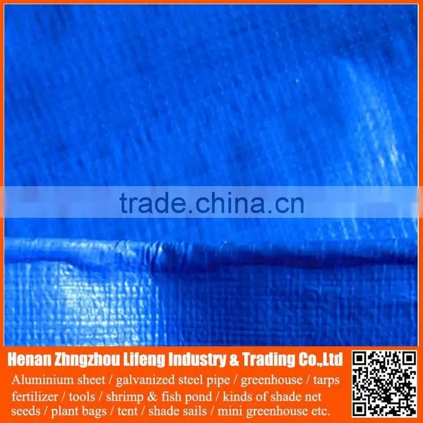 Chinese Factory Supply Plastic Hdpe Tarp for Tent Roofing Cover photo-4