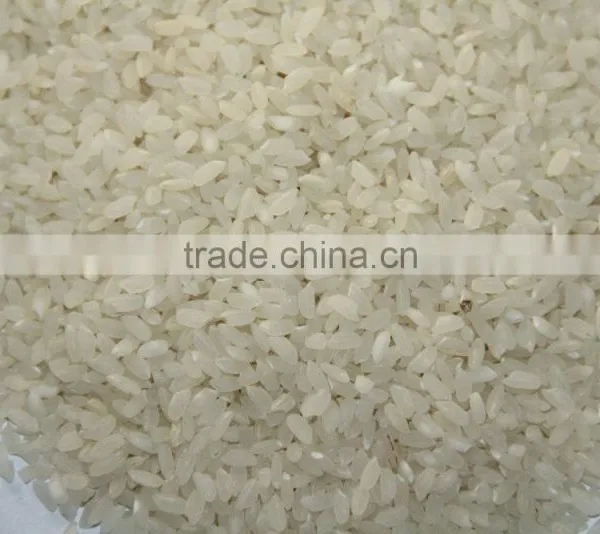High Design Artificial Rice Extruder Machine photo-3