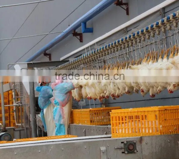 Poultry Equipments Poultry Slaughter Machine photo-3