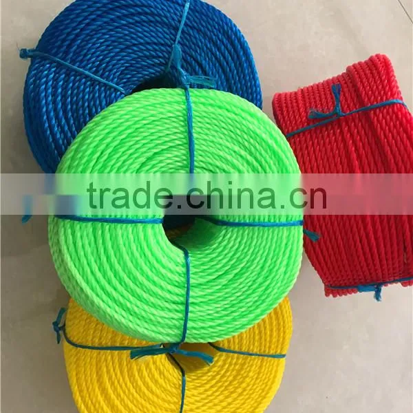 PE/PP Colorful Rope Made In Linyi Dongtalent With High Quality photo-6