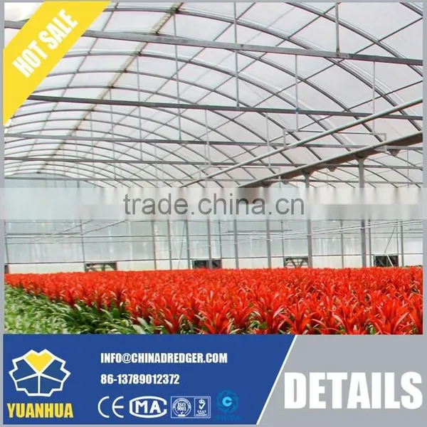 Economic and Practical Vegetable Greenhouse photo-5
