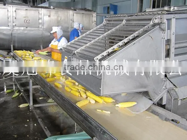 Frozen Sweet Corn Freezing Production Line for Industrial Use photo-4