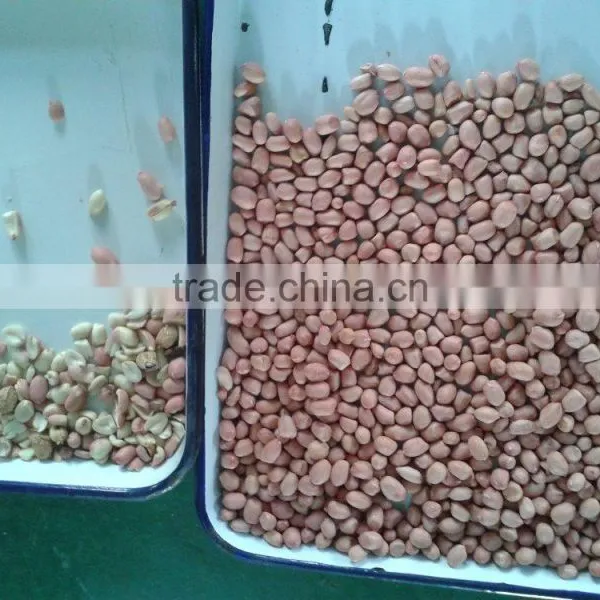 Peanut Ccolor Sorter Machine, Ccd Sorting Machine by Mingder photo-2