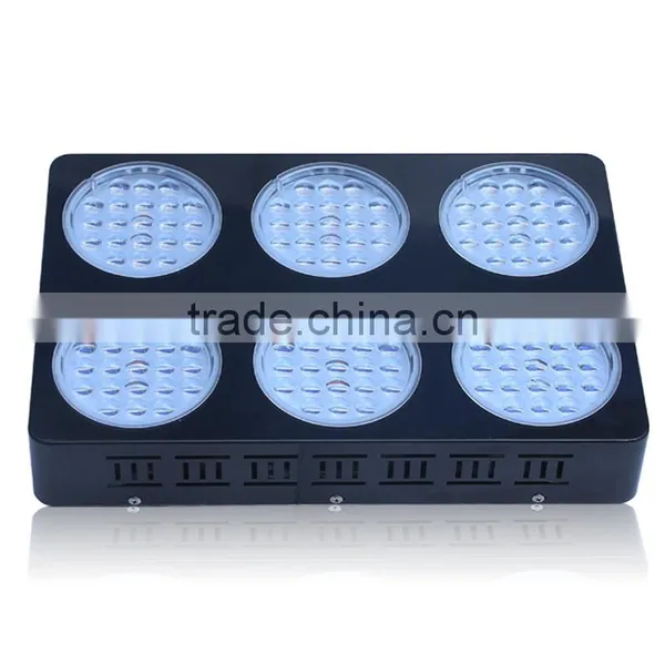 Waterproof Hydroponic Red Bule Color Best 400W X-Grow LED Grow Light photo-3