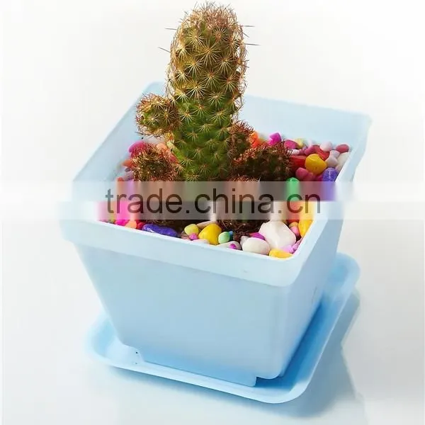 Plastic Colorful Small Square Flower Pots With Pallet Tray Saucer for Decoration of Home Office Desk Garden Flower Sh photo-3