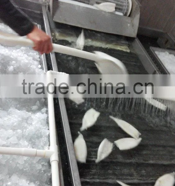 Frozen Tordarodes and Argentina Squid Tube U10,U5 photo-2
