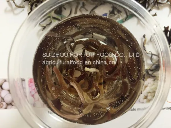 Factory Price Dried White Back Black Fungus Mushroom Short Slices (1-5CM Length) photo-2