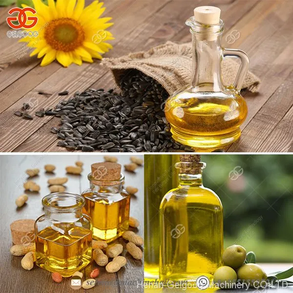 Good Quality Multi-function Canola Oil Press Machine Oil Extraction Machine photo-2