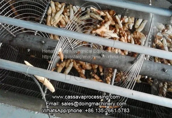 Garr Making Machine in Garri Processing Line photo-2