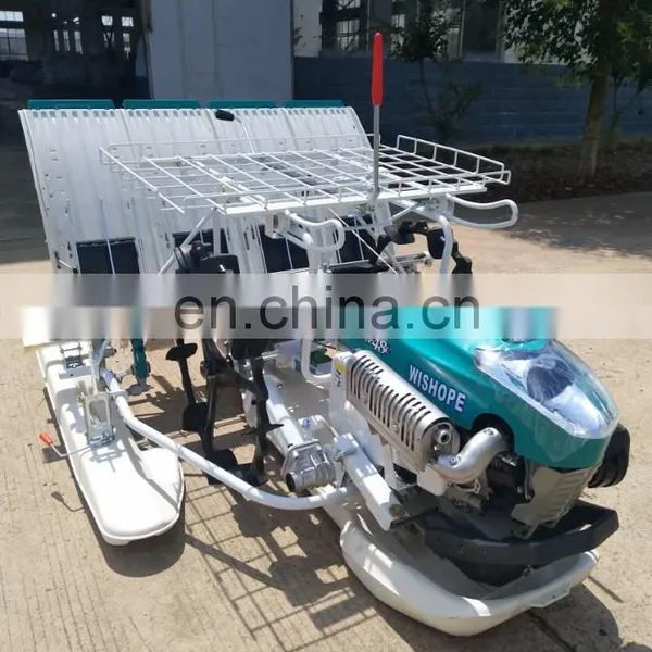 in India 6 Row Hand Walking Type Rice Manual Seedling Transplanter photo-4